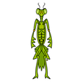 Mister Mantish