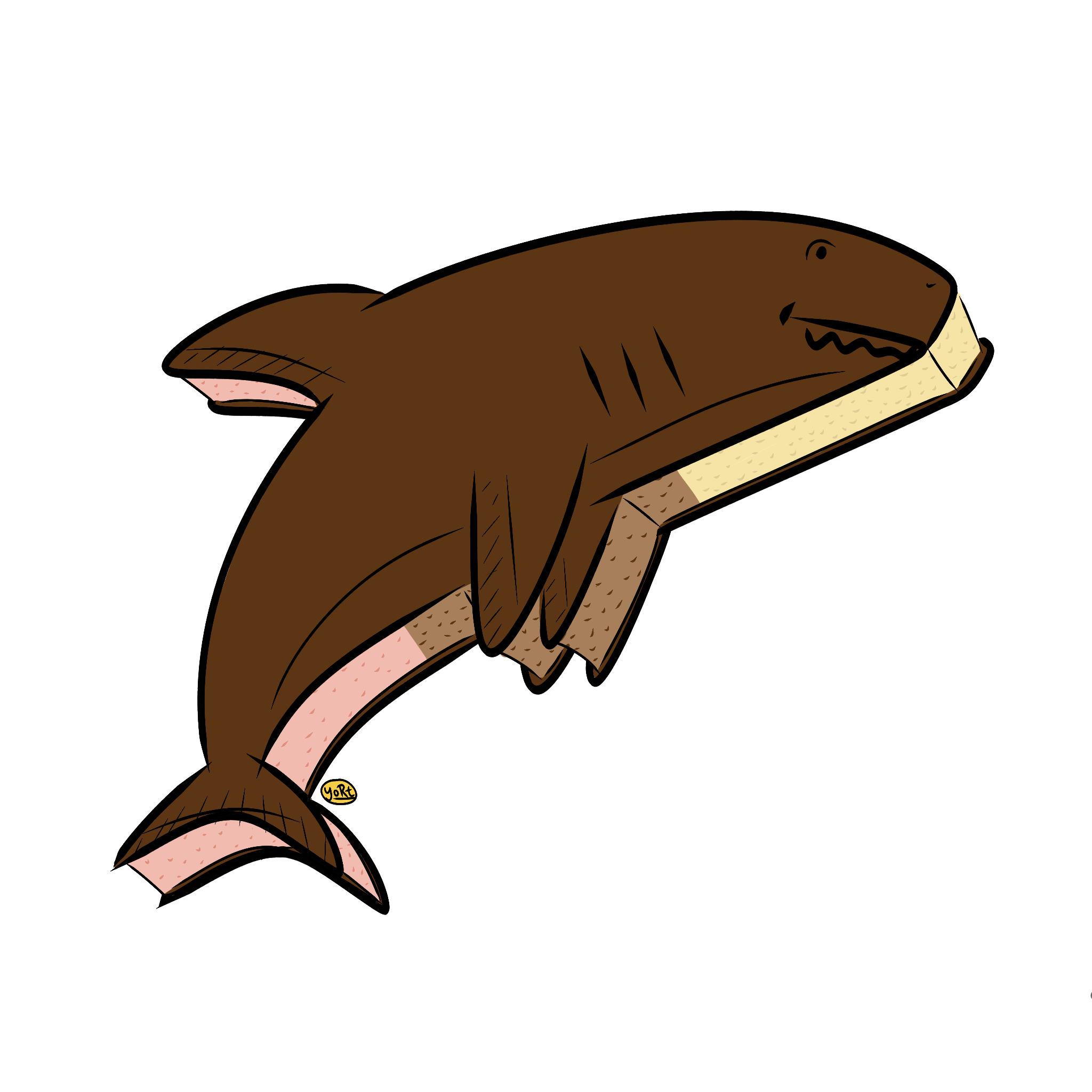 Shark Time