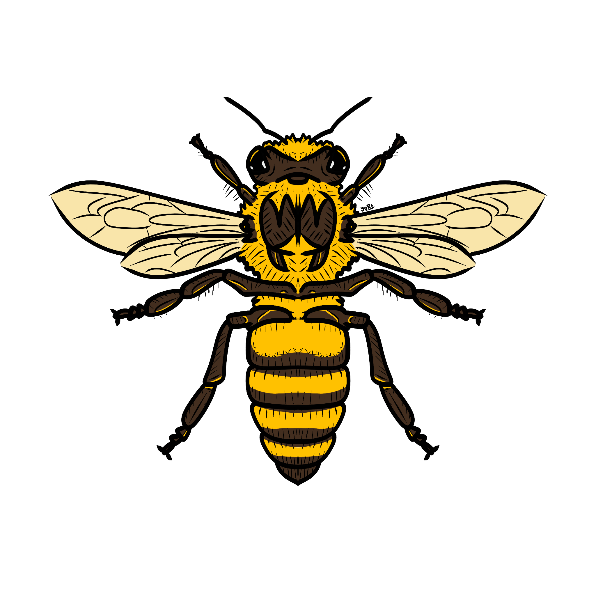 Honeybee